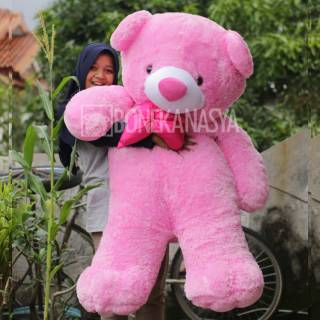 teddy bear besar dan murah