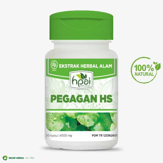 READY [COD] Pegagan HS HPAI Obat Lancar Darah Obat Vertigo HNI HPAI TERLARIS