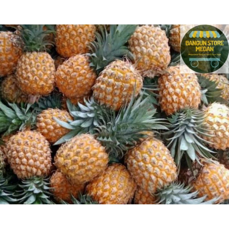 

BSM | TERMURAH Nenas Manis Super / Nanas Super / Nenas Manis Segar / Pineapple per pcs | Sayuronline