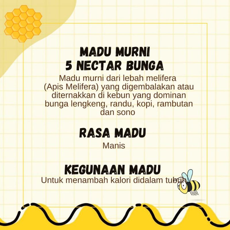 Olivoliv Snack Madu Murni 5 Nectar Bunga - Peternakan Tawon Rimba Raya 500Ml Kemasan Botol Plastik