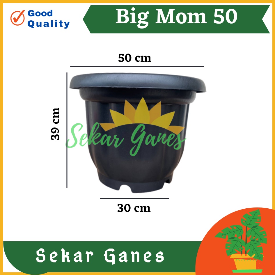 Pot BIGMOM 50 Putih Hitam Merah Bata Merah Coklat Terracota Terracotta  - Pot Besar Jumbo 50cm Pot Besar Plastik Bahan Tebal - Pot Besar Jumbo 100cm 50cm 40cm Putih Tinggi Hitam