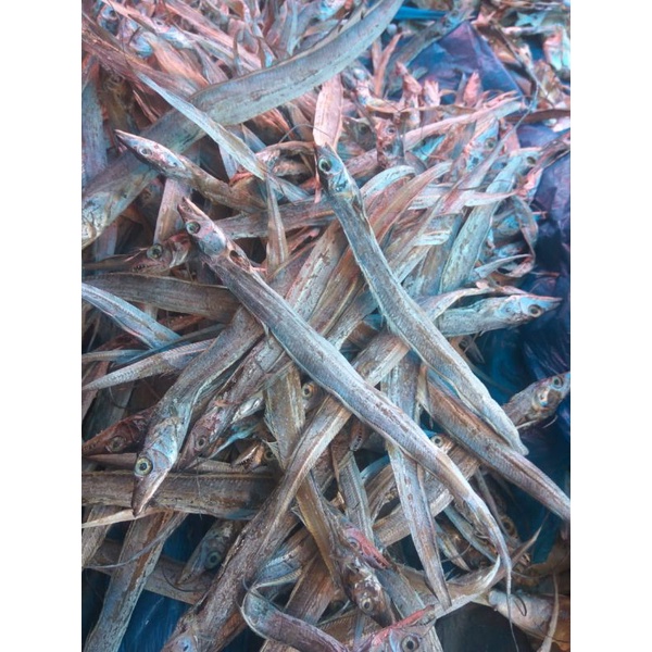 

ikan maledang/ layur