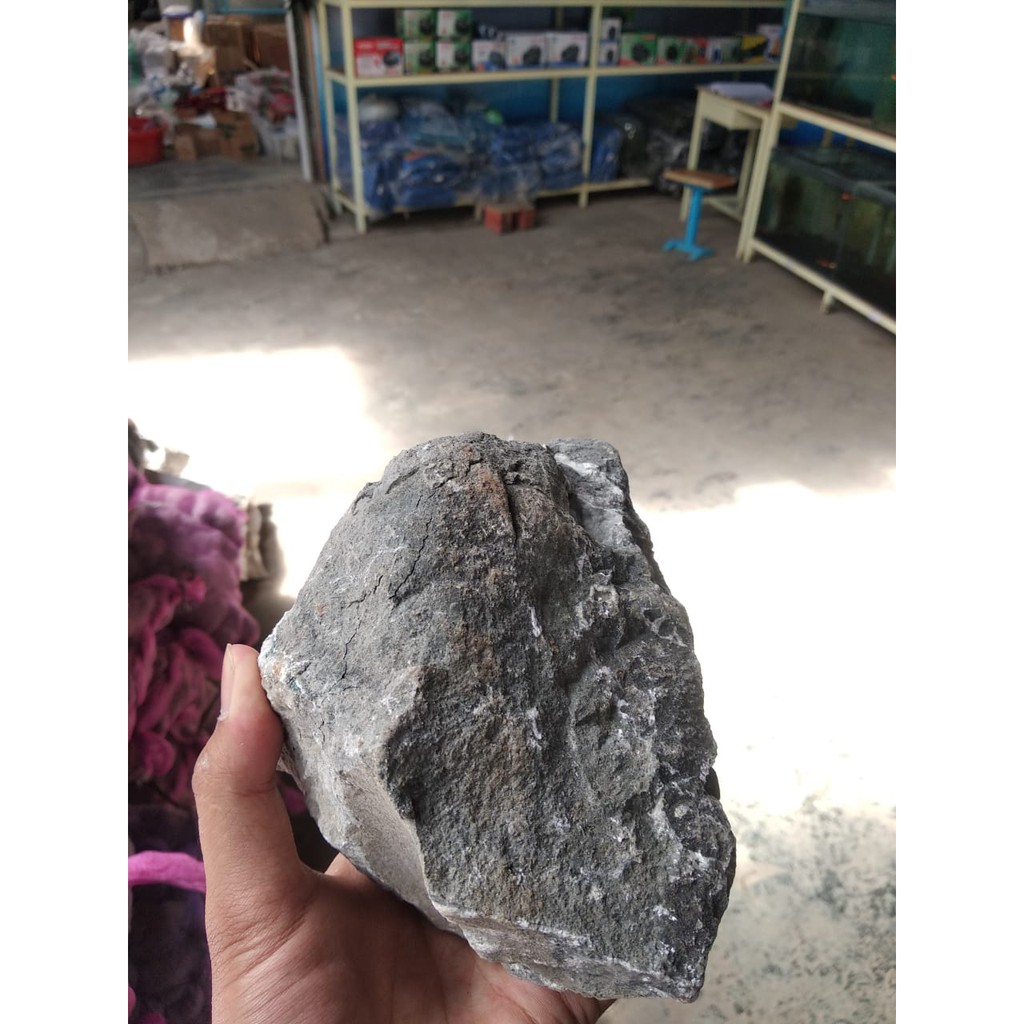 BATU TURLY - TURLEY STONE Hiasan Aquarium Aquascape