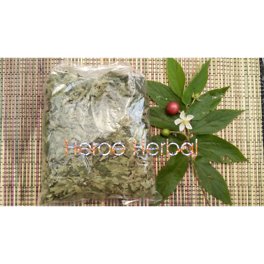 

Daun KERSEN kering, Antikolesterol,Antidiabetes, Hipertensi, 50 gr (net)
