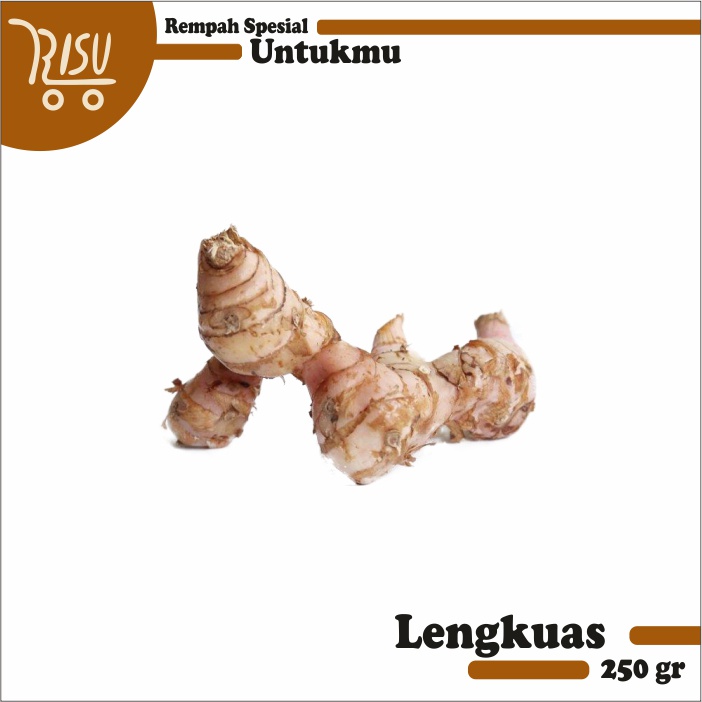 

Lengkuas Segar Murah 250 gram Laos Rempah Berkualitas