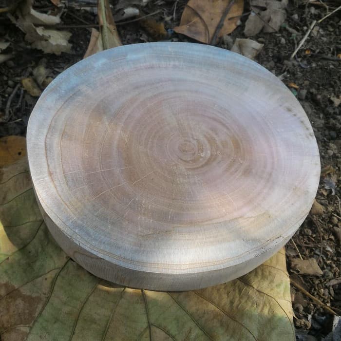 Ready Potongan kayu alami wood slice tanpa kulit talenan hiasan dekorasi