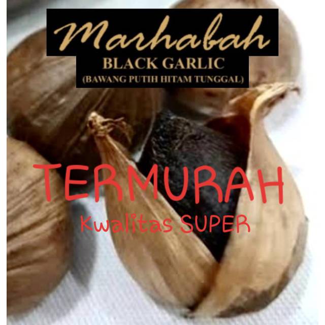 

BLACK GARLIC TUNGGAL