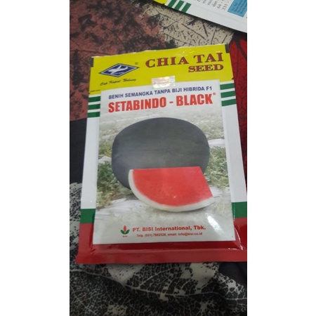 BENIH SEMANGKA TANPA BIJI F1 SETABINDO - BLACK