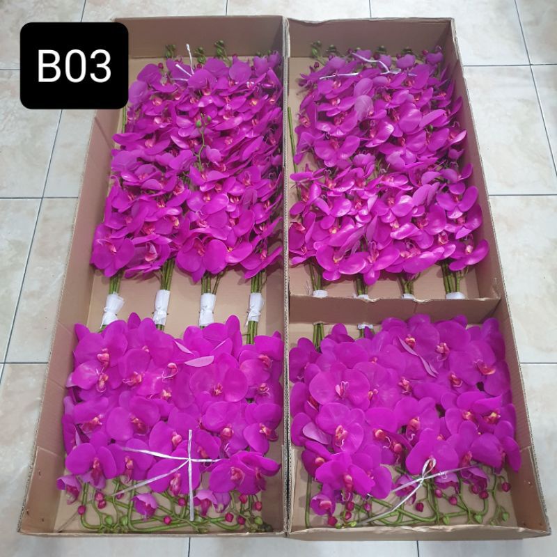 anggrek latex jumbo 9k bunga