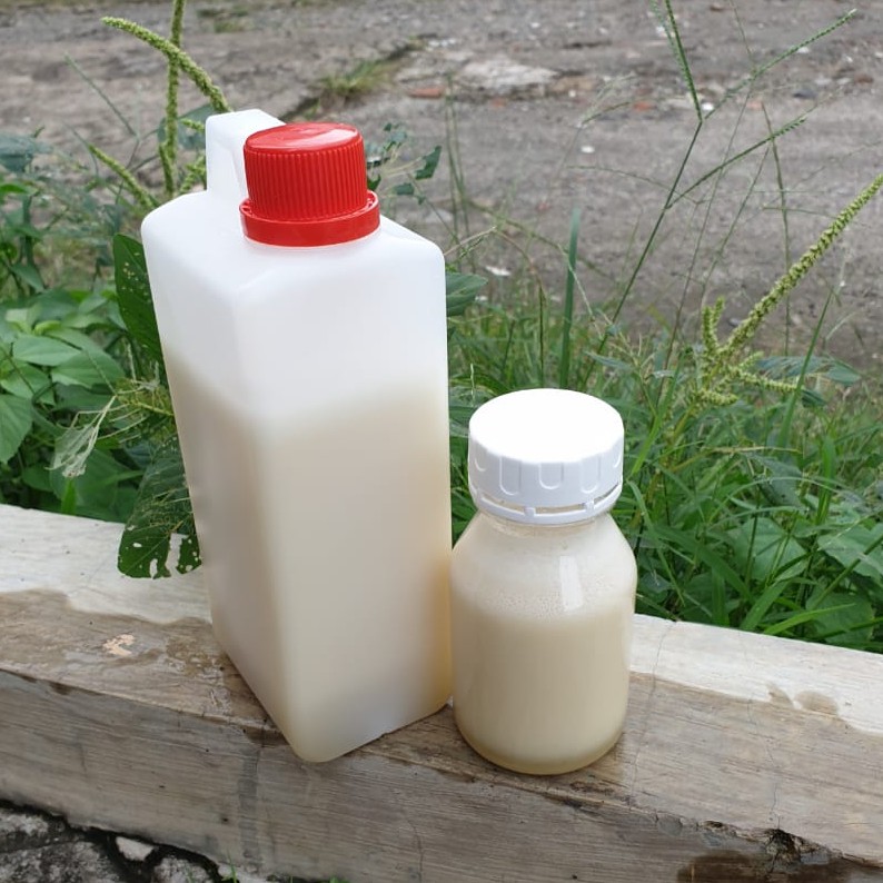 

Madu Kelanceng Putih 1kg