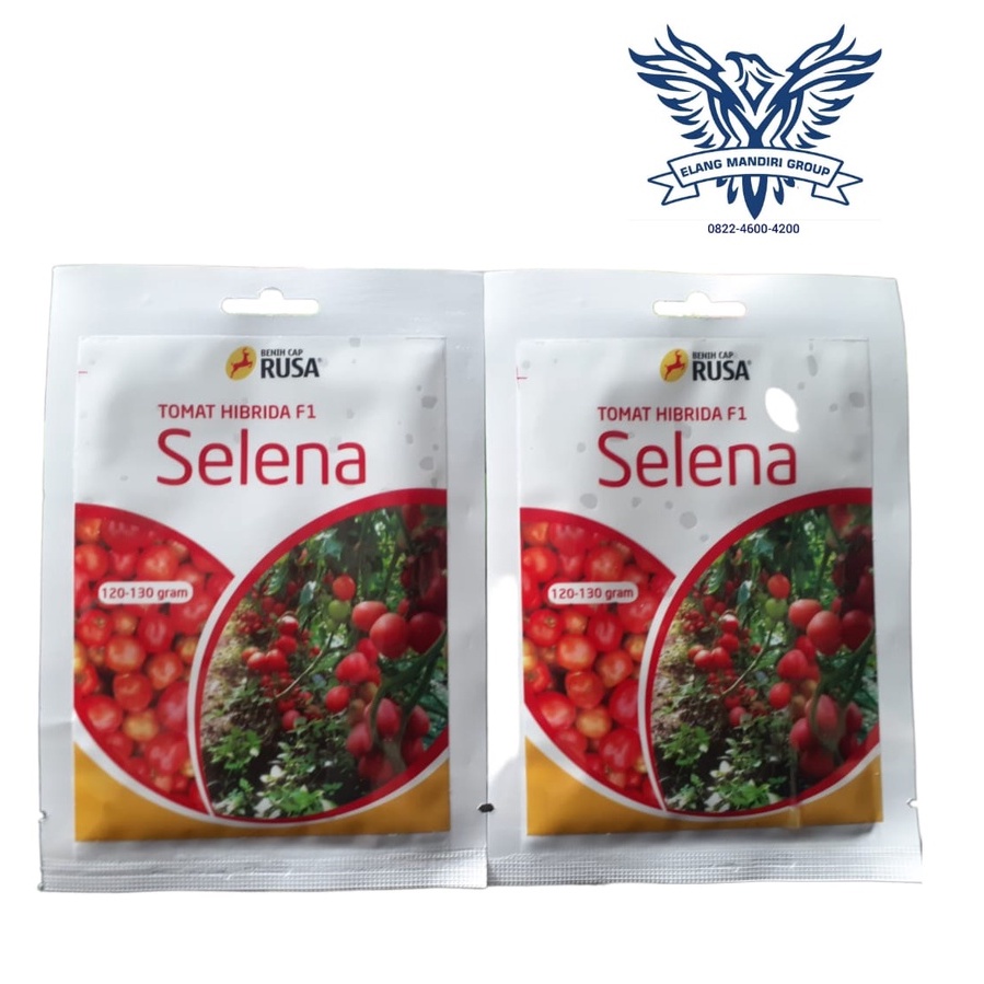 Benih Bibit Tomat Selena - 10 Gram Cap Rusa