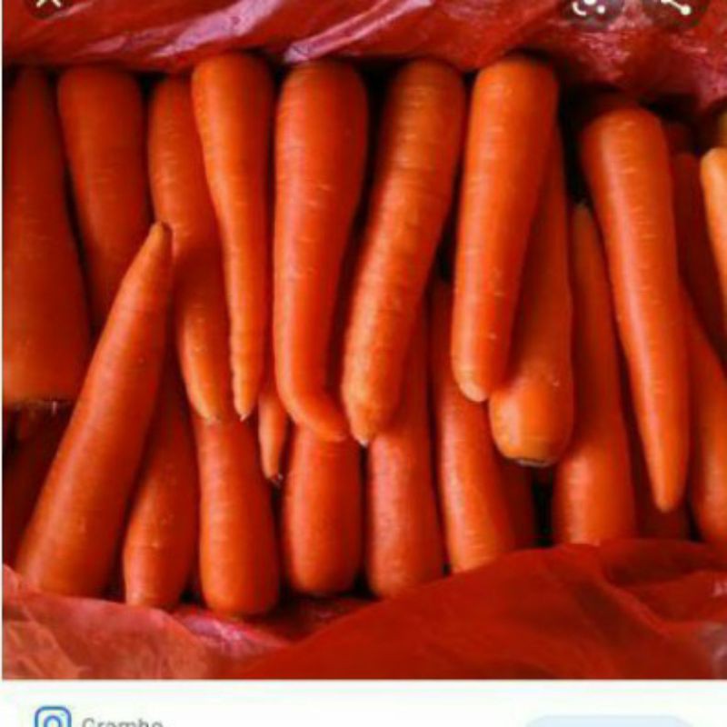 

Wortel Berastagi isi 500gram