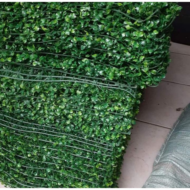 Tanaman Rambat Dolar Sintetis - Tanaman Artificial - Daun Dolar Sintetis