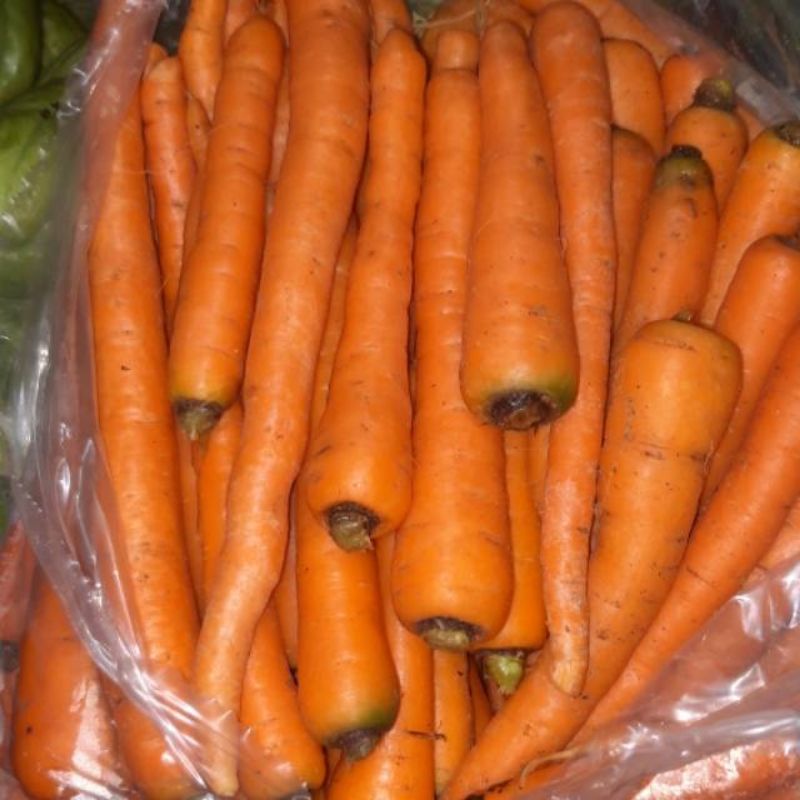 

sayursegar WORTEL SEGAR 500 Gram