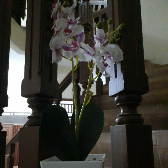 Set Bunga Plastik Anggrek1 Warna Warni Dengan Pot Melamin Putih Hexagonal Besar