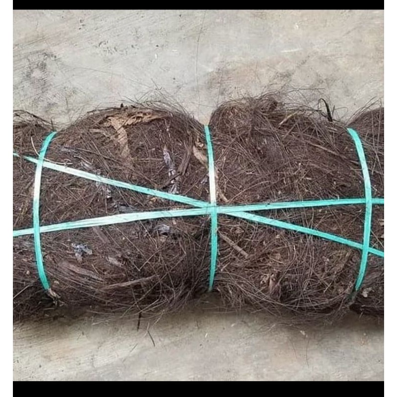 Tali ijuk halus-ijuk resapan