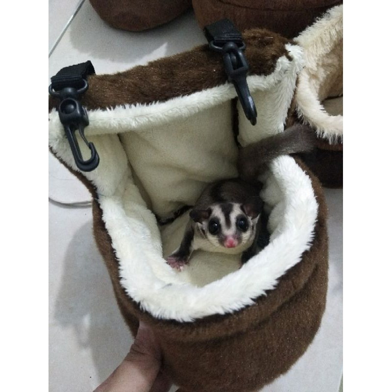 Sleeping Pouch Baby Box Sugar Glider
