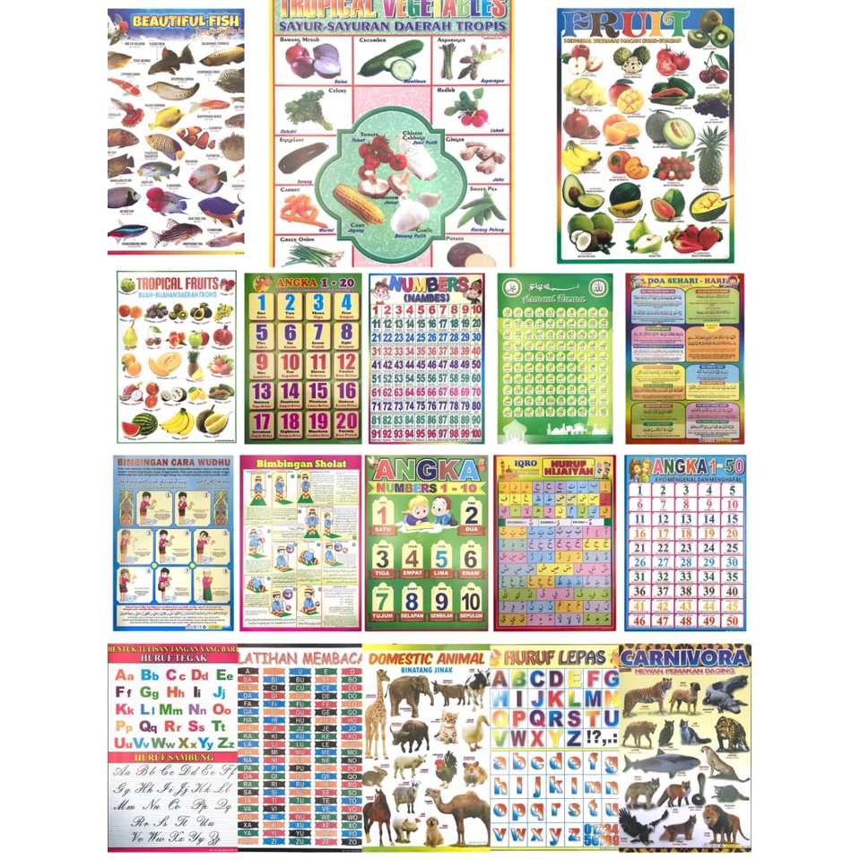 Jual Poster Anak Lengkap/Poster Edukasi Anak Lengkap | Shopee Indonesia