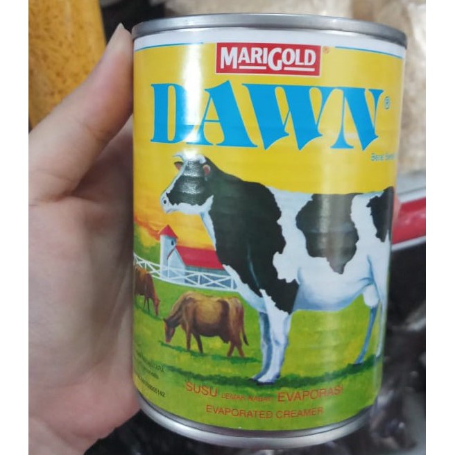 Dawn susu evaporasi 385gr