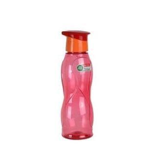 Botol Air minum sport Filo bottle 800 ml lion star