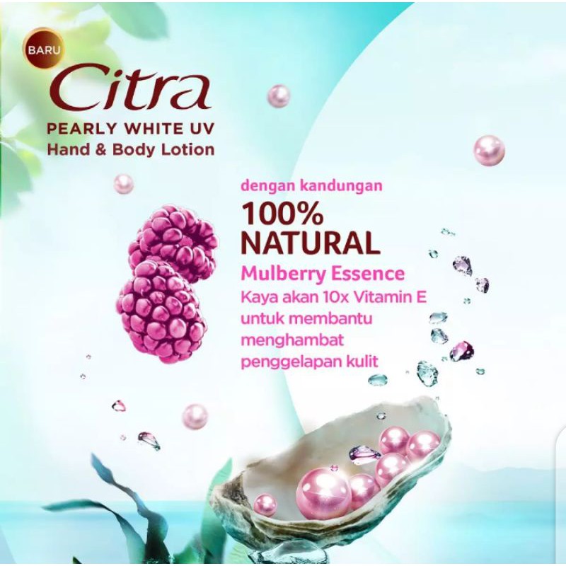 Citra Hand Body Lotion Pearly White UV - 380ml