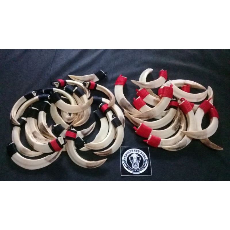 Grosir kalung Taring Babi Original