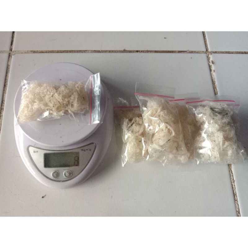 

Ready Sarang Walet Original