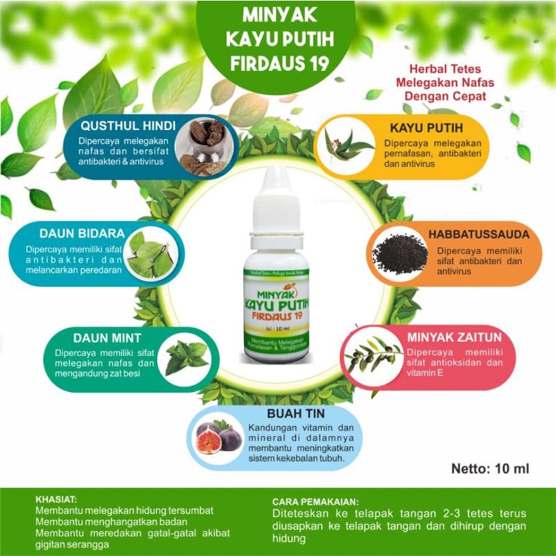 kayu putih plus herbal obat tetes herbal pelega nafas