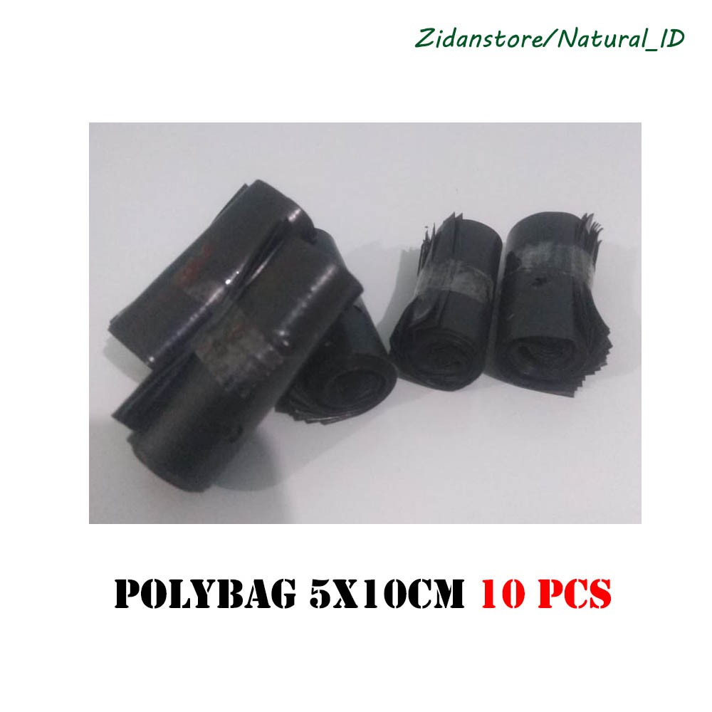 [COD] POLYBAG 5X10CM 10X15CM MURAH TERMURAH ISI 10