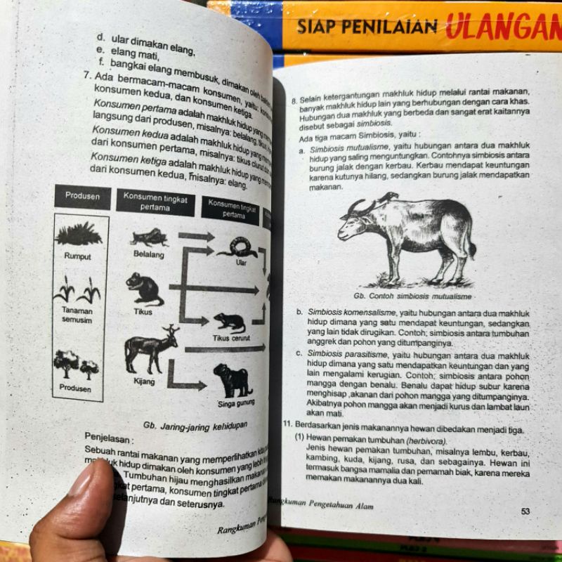 Buku RPAL Untuk Kelas 3,4,5,6 SD Yudhistira Ikranegara ( Rangkuman Pengetahuan Alam Lengkap )