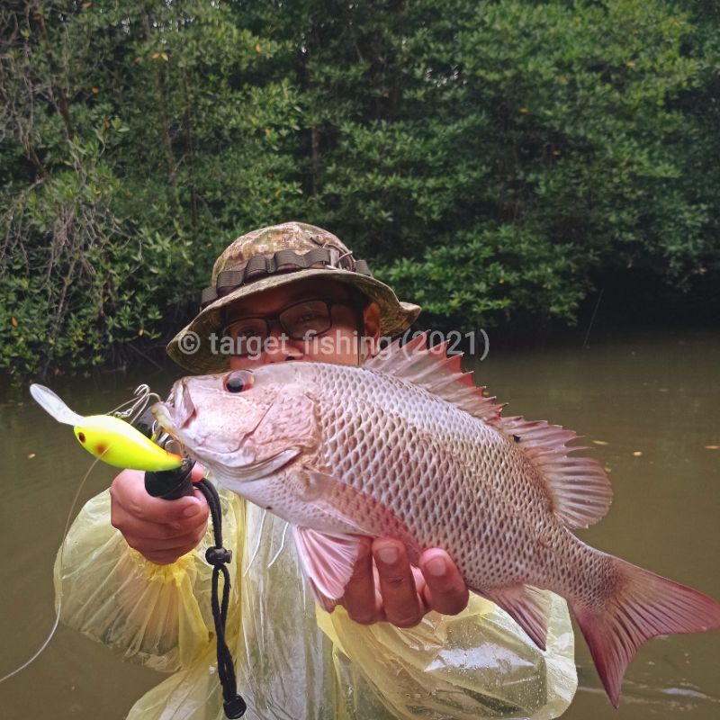 Crankbait 14gr Lidah Panjang - Umpan Casting Muara untuk Kerapu Mangrove Jack Blackbass