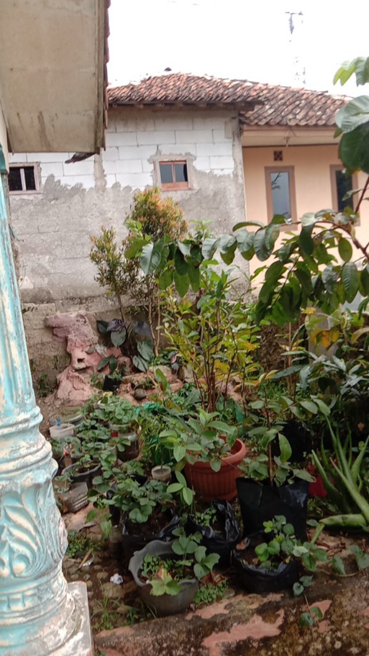 (1 Kg Isi 8)botol Shaker Herbalife Shaker Neon Herbalife