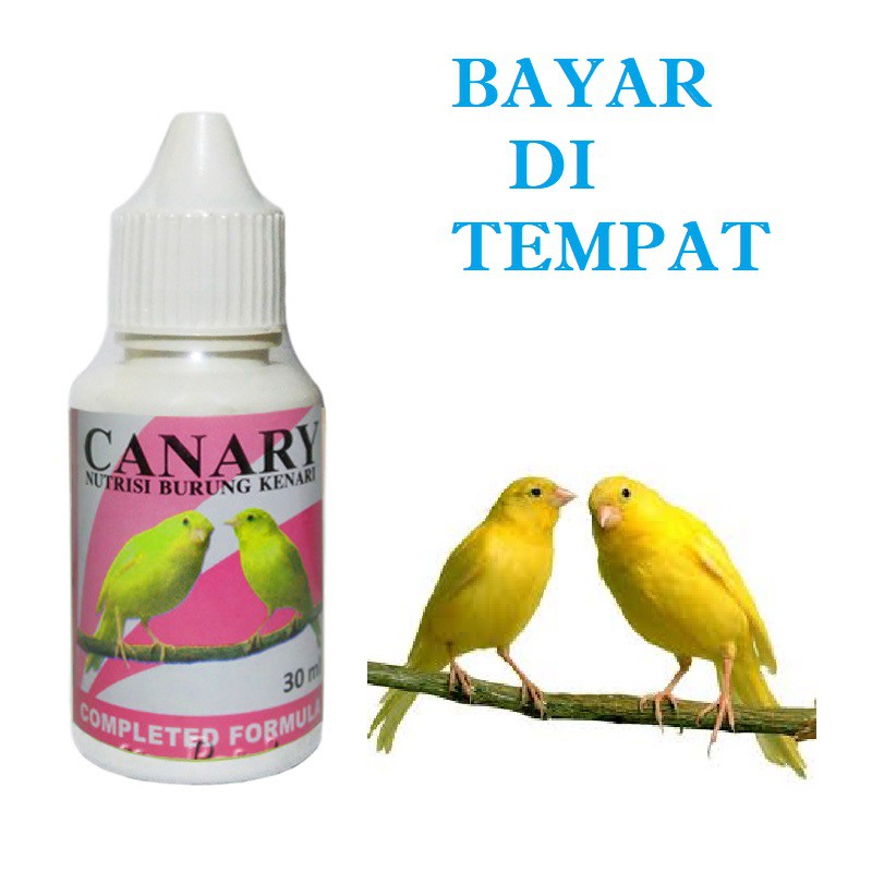 VITAMIN BURUNG KENARI MURAH CANARY OBAT GACOR AMPUH