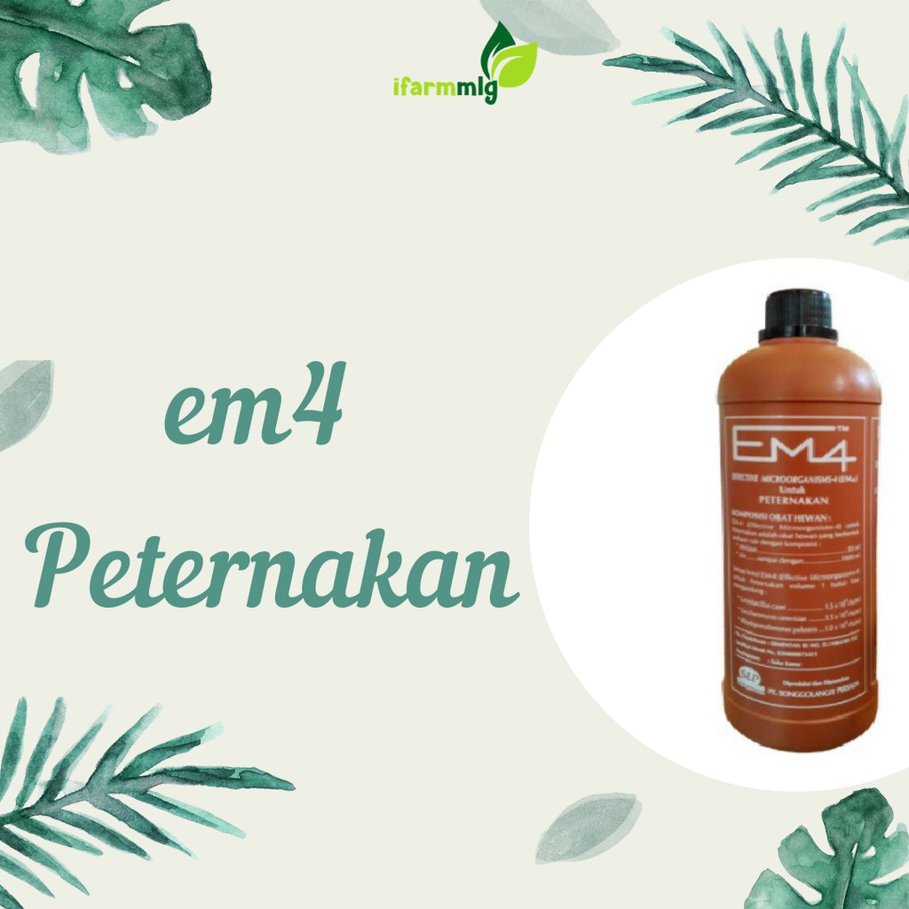 EM4 Peternakan - EM4 Ternak - EM4 Coklat  - Nutrisi Untuk Hewan Sapi, Kambing, dan Domba