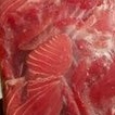 

PROMO IRISAN/FILLET / TETELAN IKAN TUNA MERAH 1KG UP MURAH