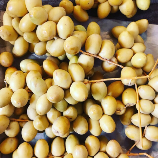 Kurma Muda Kuning 1kg