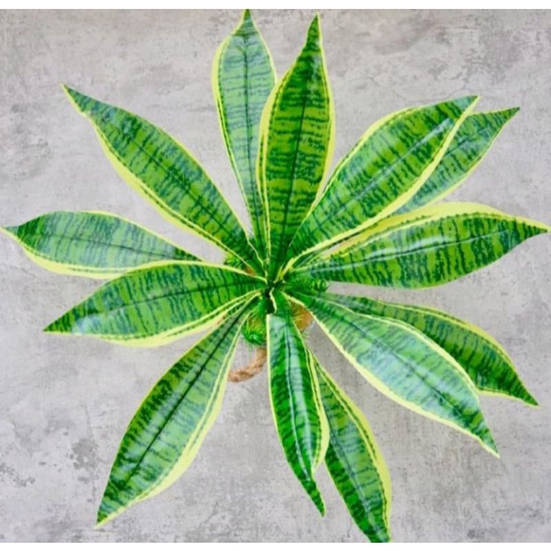 pohon lidah mertua artificial / sansivera plastik