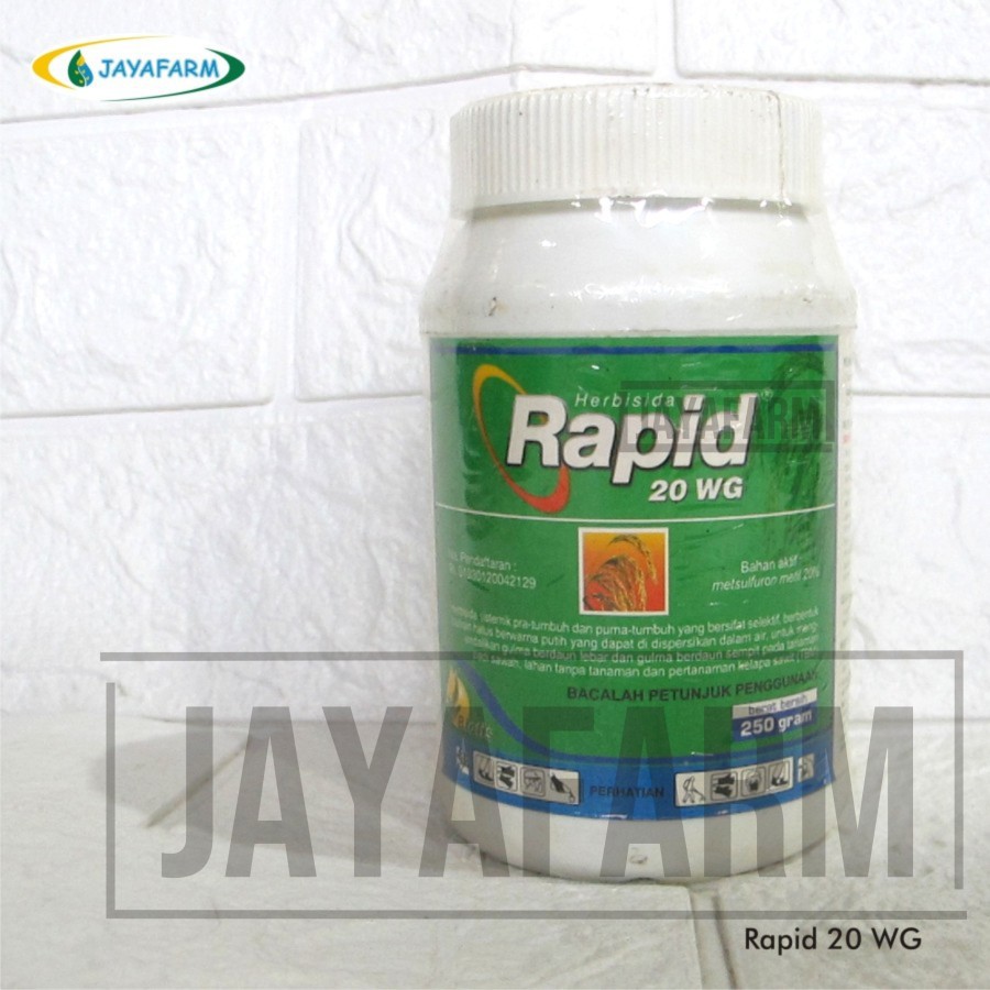 Rapid 20WG @250 gram