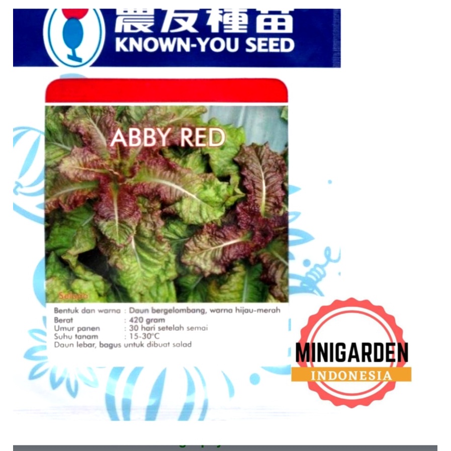 SELADA ABBY RED 20 GRAM PACK BESAR biji bibit benih green red lettuce selada merah hijau f1 hibrida known you seed