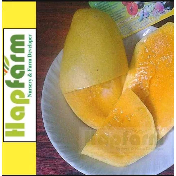 ENTRES MANGGA CHOKANAN