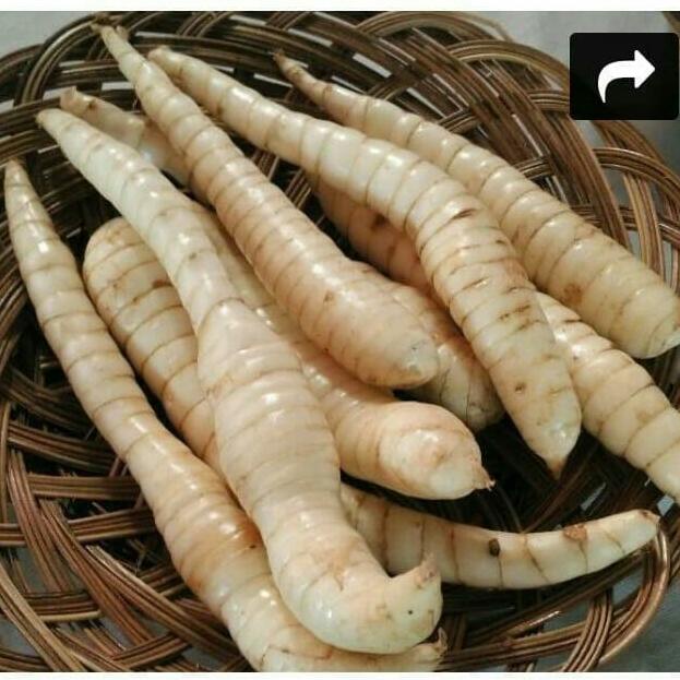 

[COD] Tepung Pati Sagu Garut/Perut/Irut [COD]