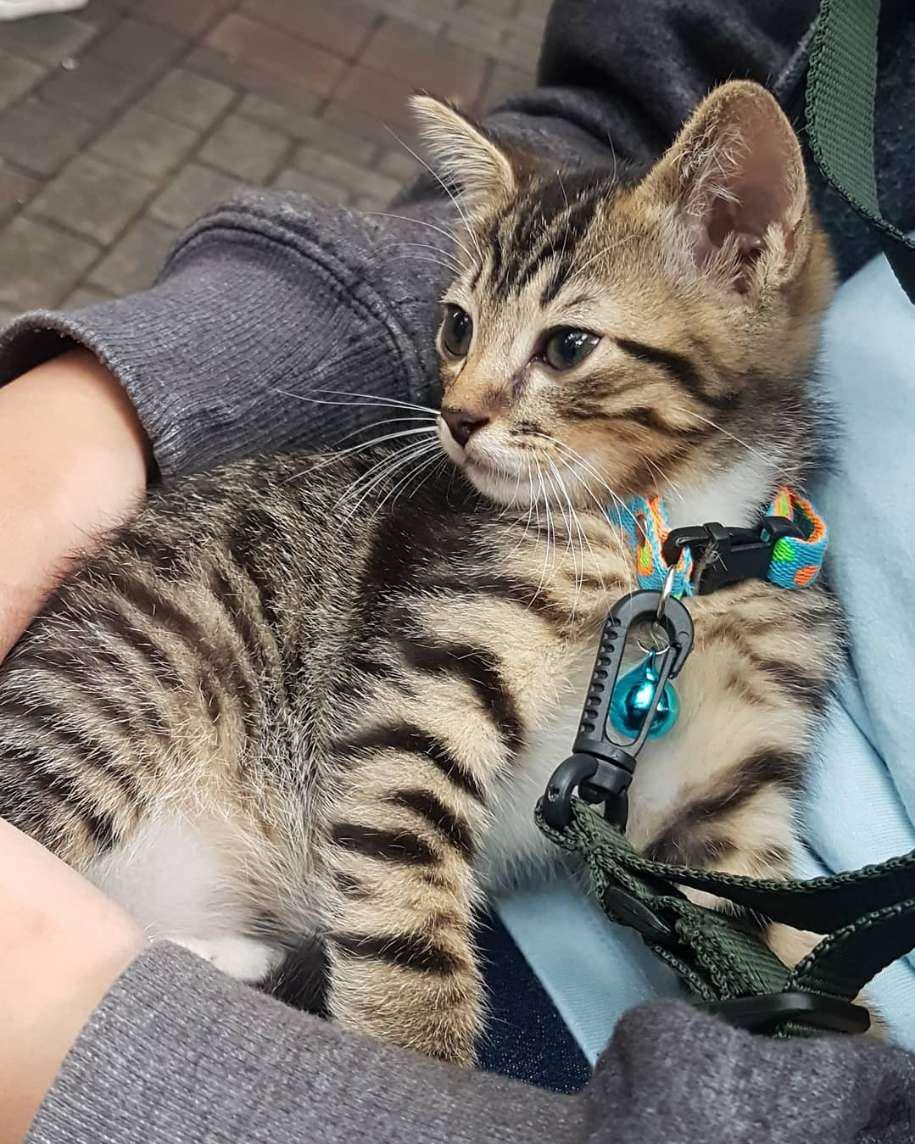 Box Arsip Standard 38.5x18.5x27 Box Kotak Penyimpanan