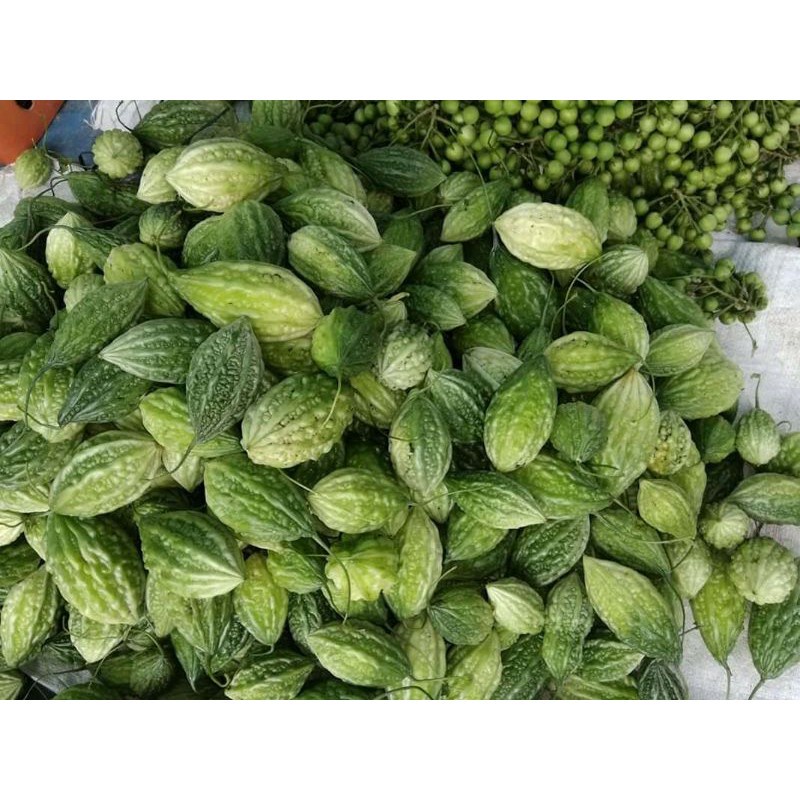 

Buah pare hutan atu pare kecil 200 grm