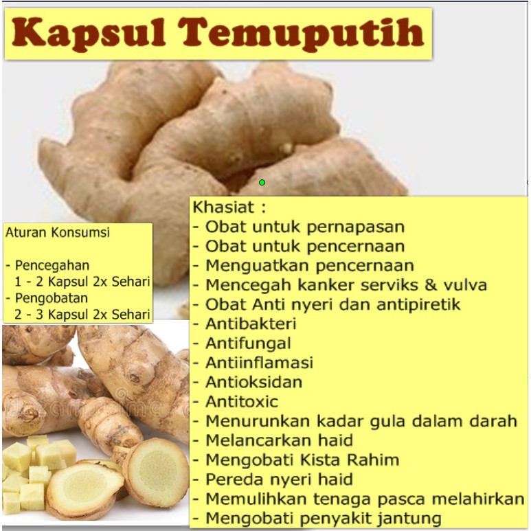 Kapsul Temuputih Obat Jamu Herbal Memulihkan Tenaga Pasca Melahirkan Dan Pereda Nyeri Haid Eceran Shopee Indonesia