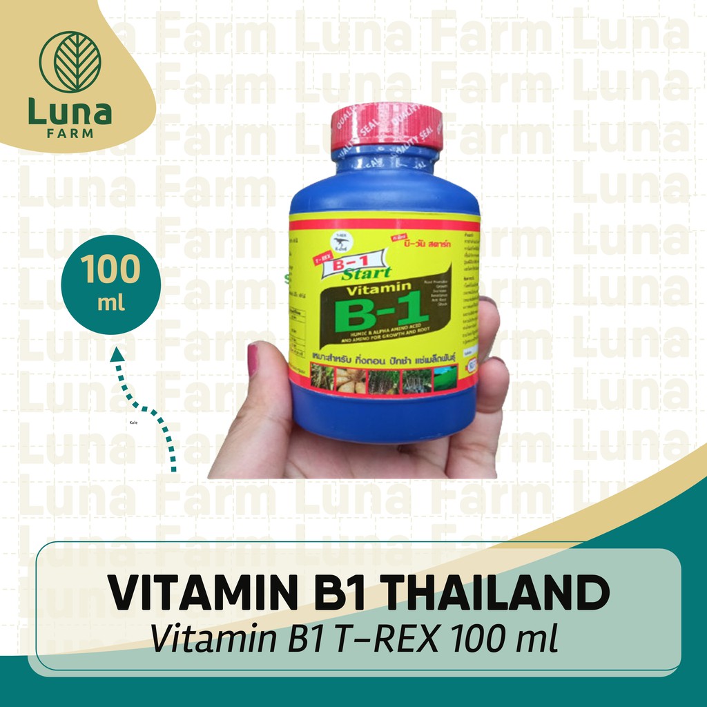 Vitamin B1 Thailand Original  Import 100ml / B1 Tanaman T-REX