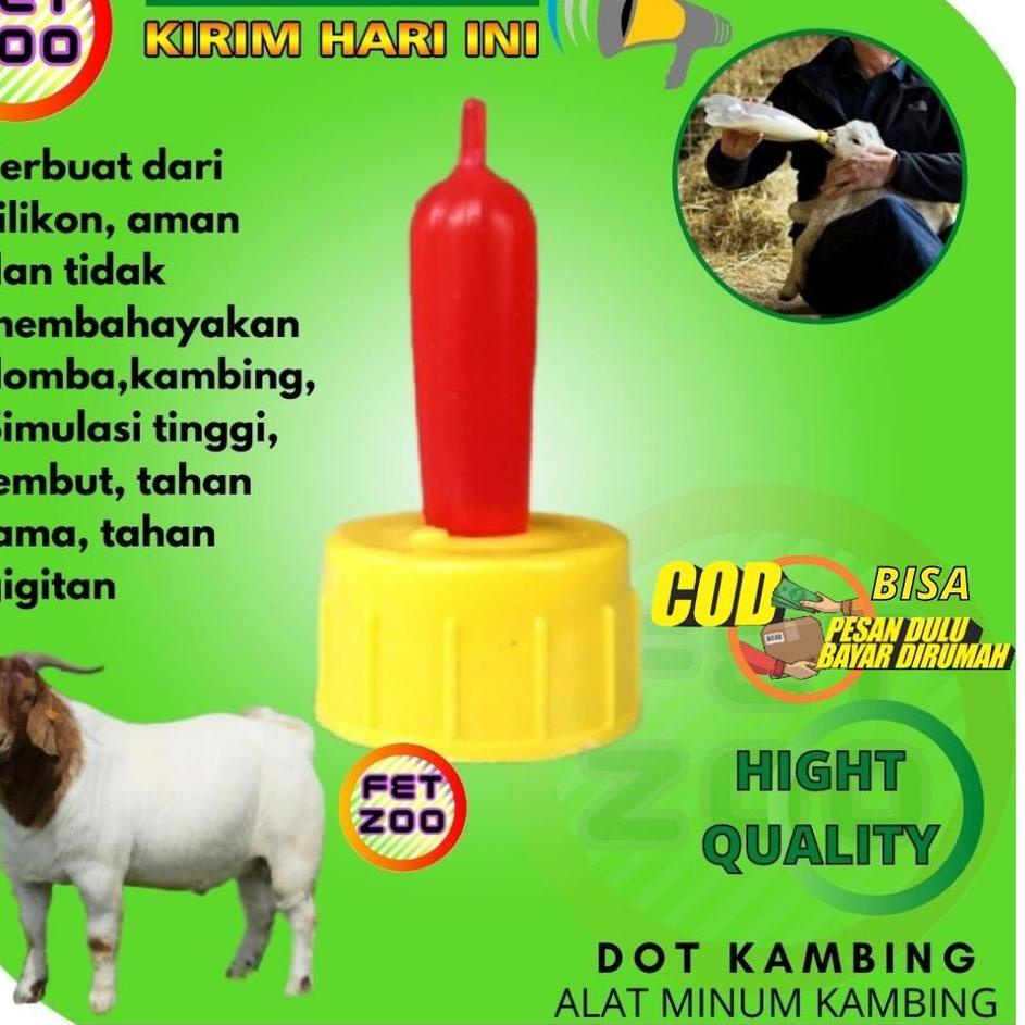 Grosir Sekarang Dot Kambing Domba Cempe Hewan Peliharaan Ternak FETZOO