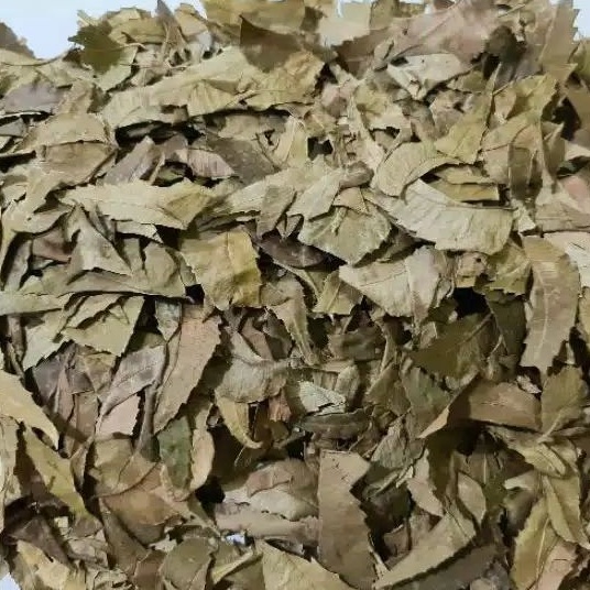 

1 KG DAUN MIMBO MIMBA KERING KAYA MANFAAT KWALITAS BAGUS