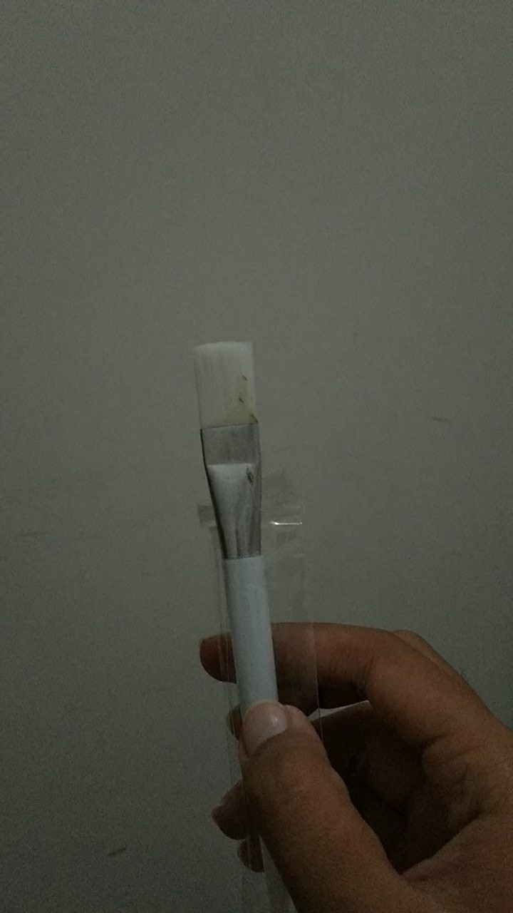 Kuas Masker Wajah Bening Young Murah