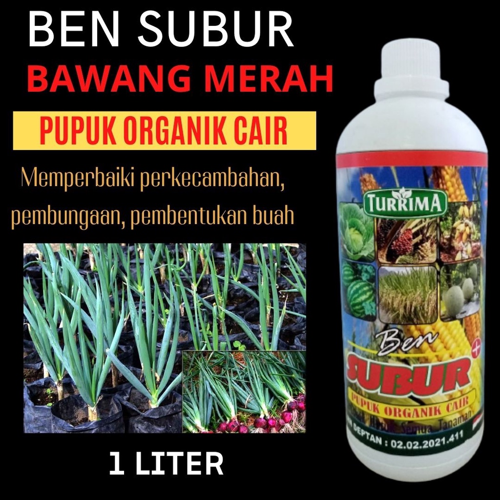 Pupuk Bawang Merah Anti Moler, Pupuk Bawang Pembesar Ben Subur Cair 1 L
