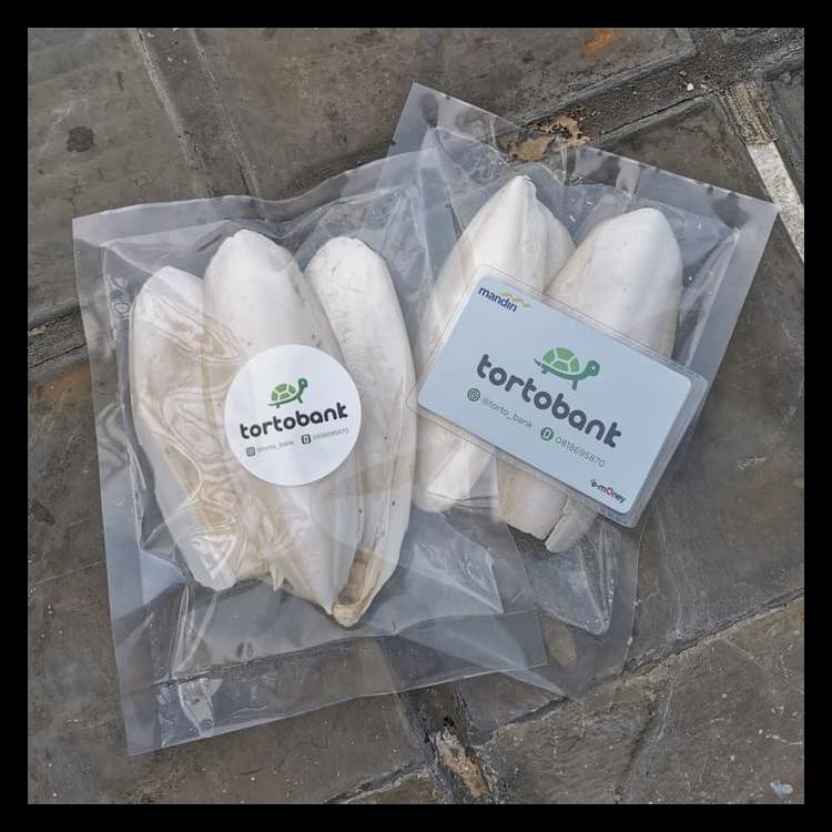 Tulang Sotong Reptil - Kalsium Kura - Kalsium Tortoise Termurah